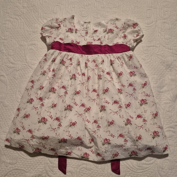 Janie and Jack Other - Janie and Jack 12-18 months Pintuck Floral Dress Pink White Precious Flowers